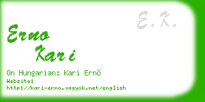 erno kari business card