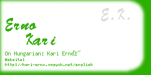 erno kari business card
